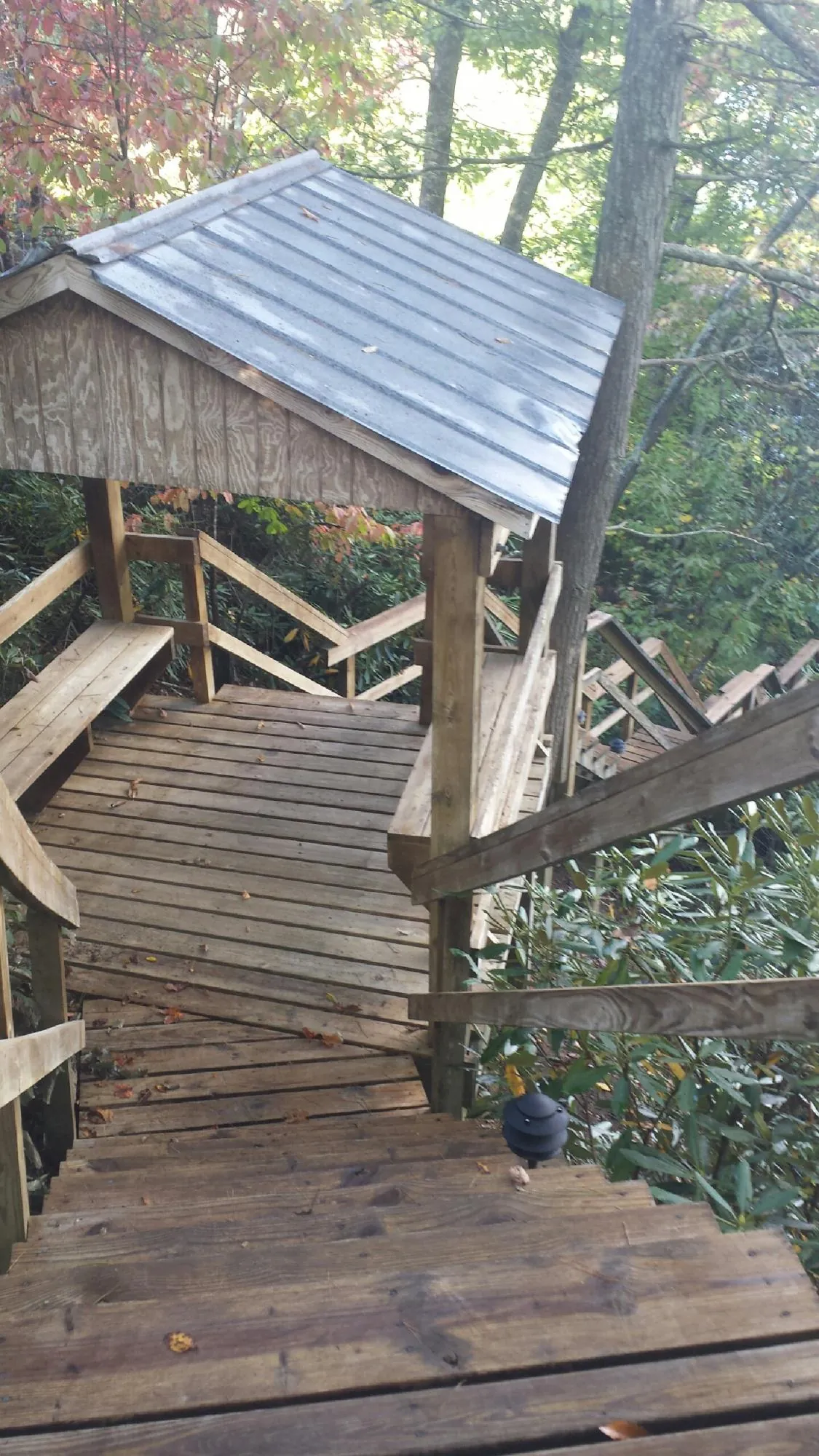 Metal roofed shelter over wooden steps on a wooded walkway — Skylight Repair & Installation work by our crew in Wallowa